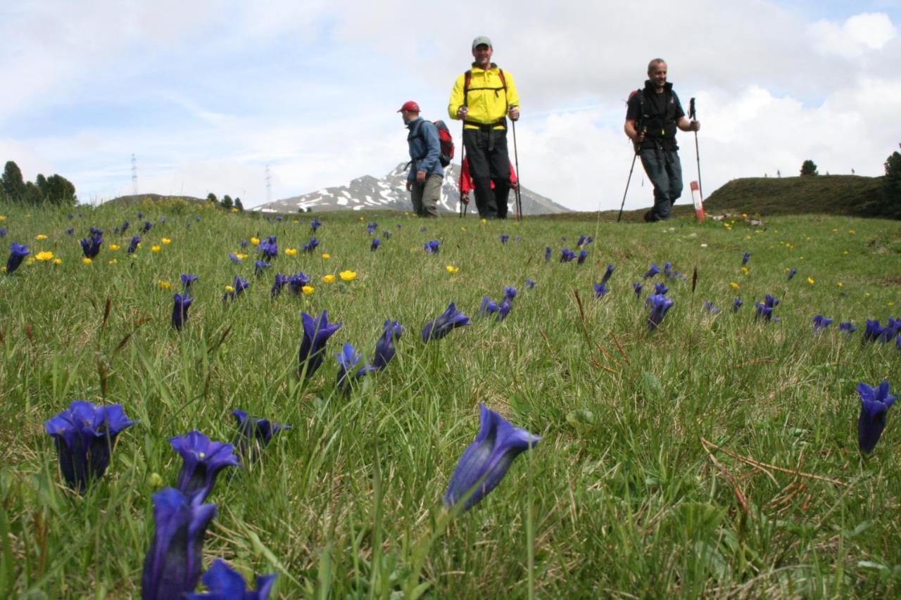 Gaestehaus Hackl Sautens Buitenkant foto